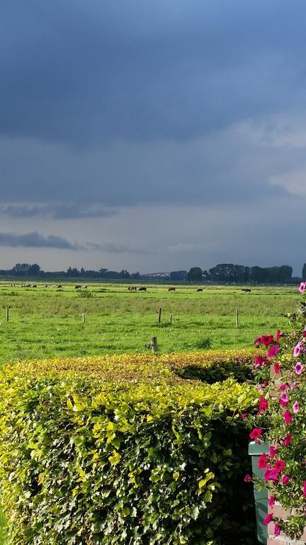 B&B De Rivierduin Hattem Kültér fotó